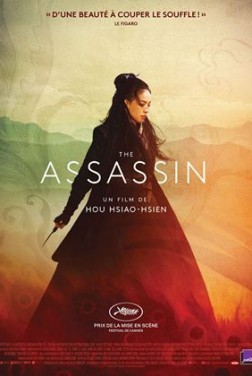 The Assassin (2016)